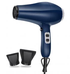 Ionic AC Motor Fast Drying Hair Dryer Professional Salon Use